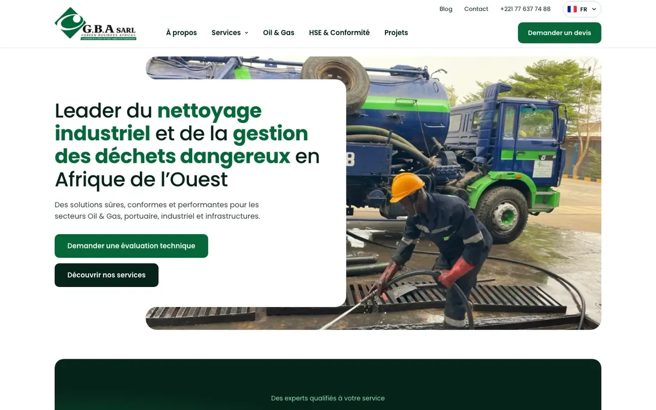 Capture du site Green Business Africa