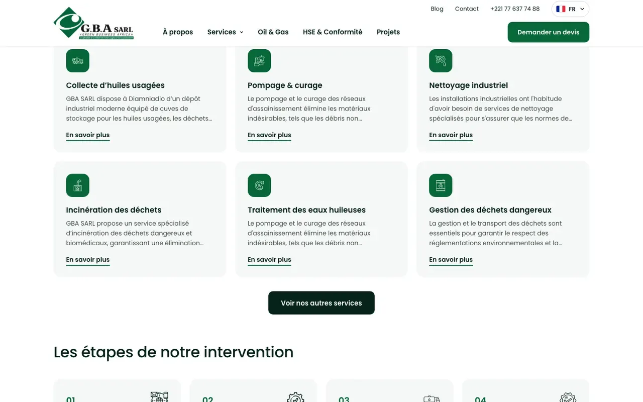 Capture du site Green Business Africa