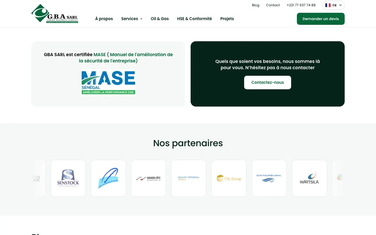 Capture du site Green Business Africa