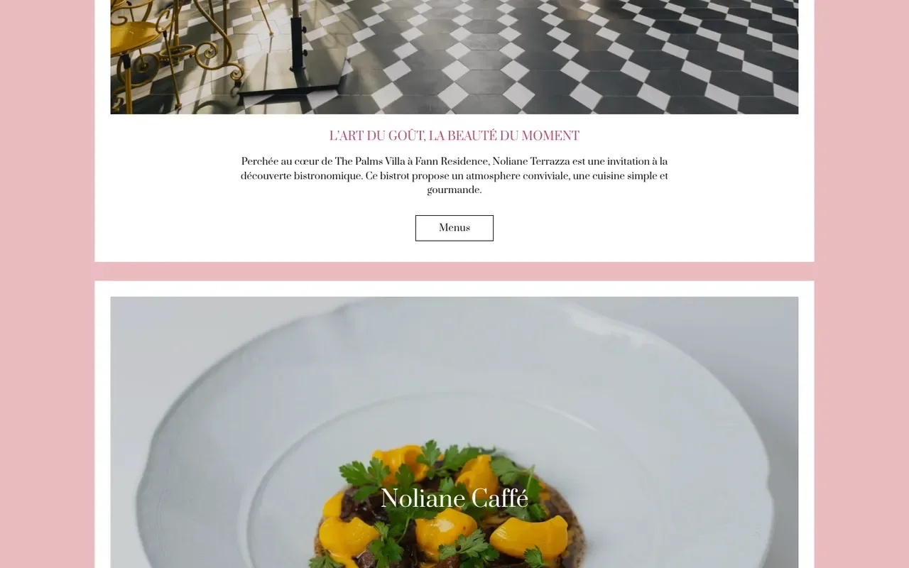 Capture du site Noliane